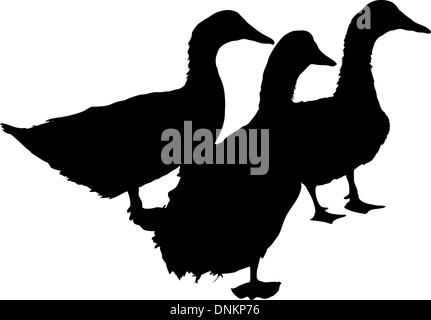 Drei Silhouette der schöne Enten, Vektor-illustration Stock Vektor