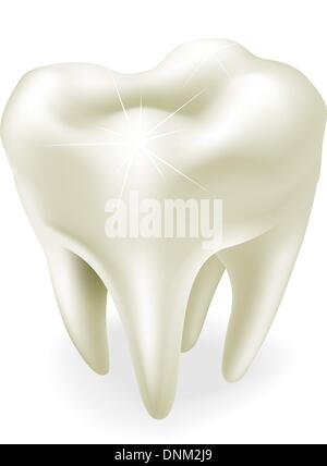 Eine Abbildung eines gesunden Weisheitszahn oder molar Stock Vektor