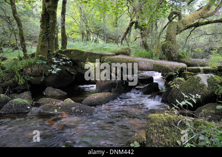 Klöppel Brücke über Tributory Stream zu East Dart auf Dartmoor Stockfoto