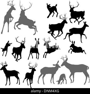 Silhouette Reh mit Kitz, Doe Böcke und Hirsch. Legen Sie auch zwei Hirsche kämpfen Ans einer Familiengruppe Stock Vektor