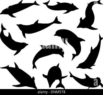 Eine Reihe von Delphin Silhouetten in verschiedenen Positionen und aus verschiedenen Blickwinkeln Stock Vektor