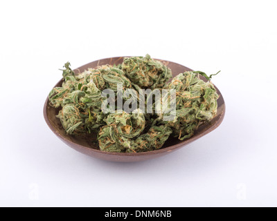 Cannabis-Knospen an einer Kokosnussschale erschossen auf einem nahtlosen weißen Hintergrund. Stockfoto