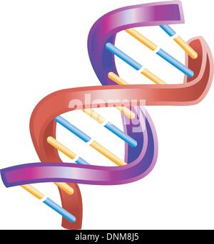 Ein Beispiel für ein glänzendes DNA-Doppelhelix-Symbol Stock Vektor