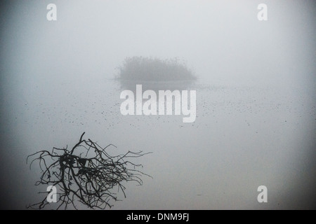 Agemon Bird Sanctuary, oberen Galiläa, Israel Stockfoto