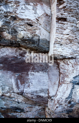 Gegen Bay, Cliff Erosion, Whitby, England Stockfoto