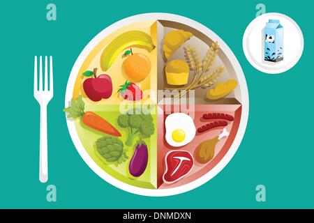 Eine Vektor-Illustration verschiedener Lebensmittelgruppen auf einem Teller Stock Vektor