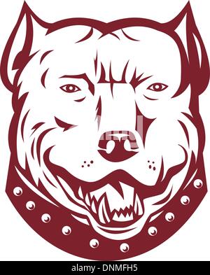 Abbildung von einem Pitbull Pit Bull Terrier Mischling Hund Kopf Vorderseite auf weißen Hintergrund isoliert Stock Vektor