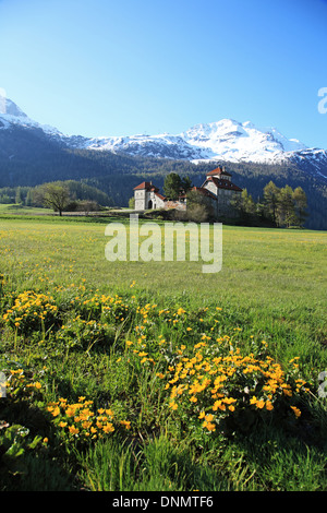 Schweiz, Kanton Graubünden, Ober-Engadin, Surlej Stockfoto