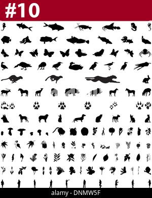 Große Sammlung von Collage Vector Silhouetten von Menschen, Tiere, Vögel, Fische, Blumen und Insekten Stock Vektor