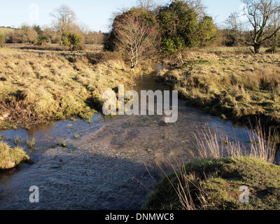 Stream auf Strandwiesen (Aue) in der Nähe von Shawford, Hampshire, überschüssiges Wasser von Itchen Navigation nach Fluss Itchen. Stockfoto