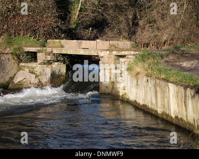 Die Überreste der Compton-Sperre für die Itchen Navigation in der Nähe von Shawford, England No als ein kleines Wehr und ehemals Schleusen verwendet. Stockfoto