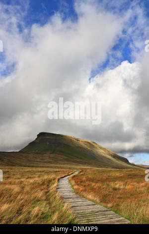 Die markanten Gipfel von Pen-y-Gent, einer der Yorkshire drei Zinnen Berge in den Yorkshire Dales National Park, England Stockfoto