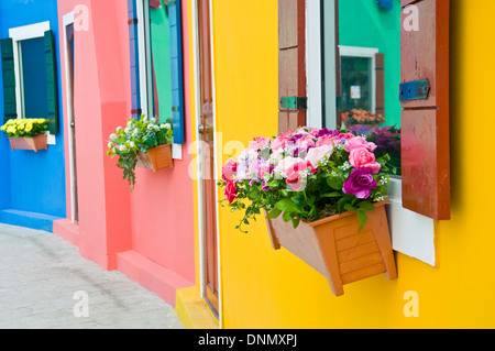 bunte künstliche Blume für Fensterdekoration Stockfoto