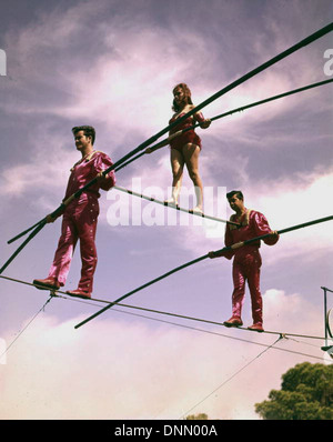Die Flying Wallendas führen ihren High-Wire-Auftritt in Sarasota, Florida, während der 1960er Jahre, in denen sie ihre Zirkusfähigkeiten als Teil des Ringling Brothers und des Barnum & Bailey Circus präsentieren. Stockfoto