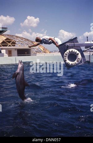 Delphin erklingt in der Aquatarium in St. Petersburg Beach, Florida Stockfoto