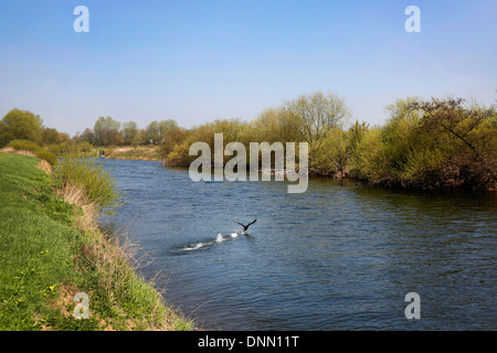 Haltern bin sehen, Deutschland, Blick über die Lippe Stockfoto