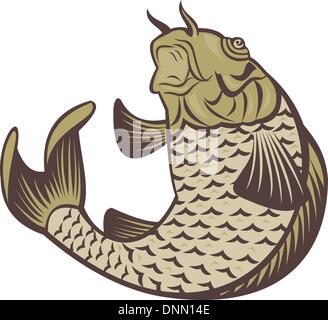 Abbildung eines Koi-Karpfen sprang auf weißen Hintergrund isoliert Stock Vektor