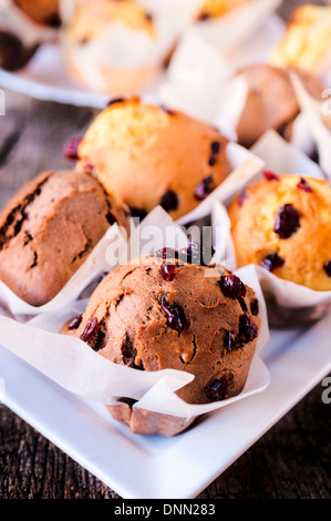 Süße Kuchen mit Schokolade und getrocknete Preiselbeeren. Selektiven Fokus auf den vorderen Biskuit Stockfoto