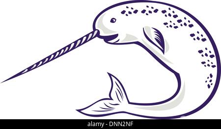 Illustration des Narwals Monodon Monoceros Einhorn Bundesgebiet geraden Stoßzahn Walzahn auf weißen Hintergrund isoliert Stock Vektor