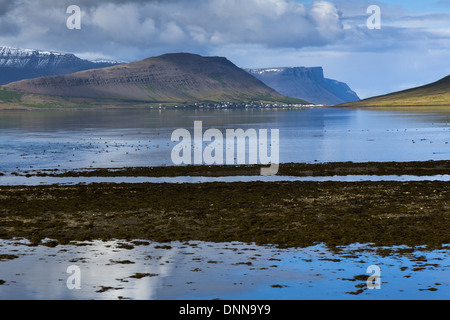 Blick auf abgelegenen Dorf Bingeyri am Rand des Jordur Fjord Westfjord Island Stockfoto