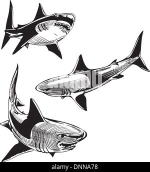 Drei Haie. Satz von schwarzen und weißen Vektor-Illustrationen. Stock Vektor