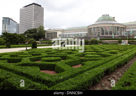 Der königliche Botanische Garten von Brüssel, Belgien. Stockfoto