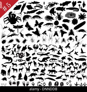 # 5 Satz von verschiedenen Tieren, Vögel, Insekten und Fische Vector Silhouetten Stock Vektor