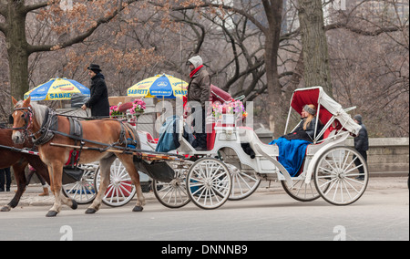 Kutschen und Pferde sind im Central Park in New York gesehen. Stockfoto