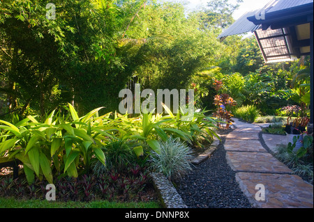 Grundstück am Rancho Pacifico; Uvita, Costa Rica Stockfoto