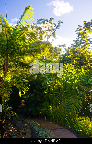 Grundstück am Rancho Pacifico; Uvita, Costa Rica Stockfoto