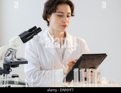 Wissenschaftler arbeiten im Labor Stockfoto
