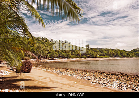 Pazifikküste Strand in Lapa Rios, Costa Rica Stockfoto