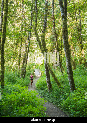 USA, Oregon, Portland, junge Frauen, die Joggen im Wald Stockfoto