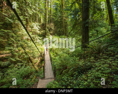 USA, Oregon, Portland, junge Frau Joggen im Wald Stockfoto