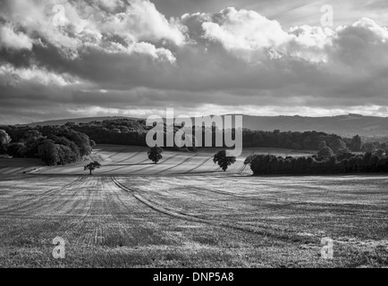 Schwarz / weiß-Landschaft in der Nähe Bedham in West Sussex, UK Stockfoto