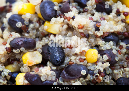 Nahaufnahme von gekochten gemischter Quinoa Getreide mit schwarzen Bohnen und Mais. Stockfoto