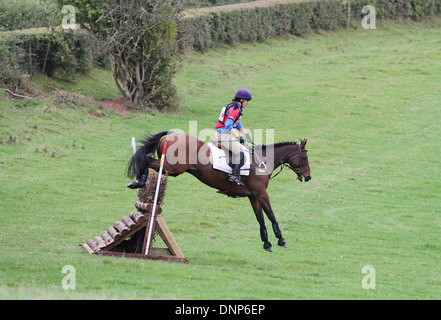 Pferd und Reiter Springen einen Zaun in der Langlauf-Phase der eine eintägige Veranstaltung Stockfoto