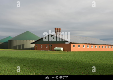 Biogas und Solarenergie produziert auf einem Bauernhof Tiere Stockfoto