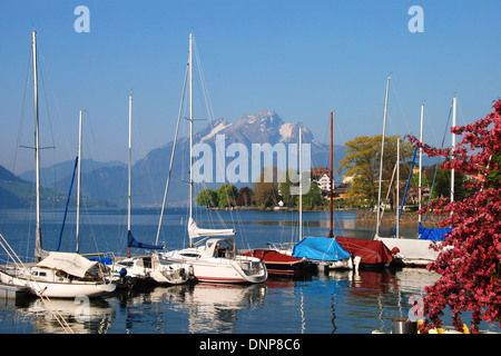 Boote auf dem Vierwaldstättersee im Frühjahr mit dem Pilatus im Hintergrund Stockfoto