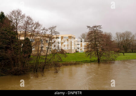 Fluß Avon, Bath, Großbritannien. 3. Januar 2014.  zu seinen Ufern durch Starkregen in der Januar-Hochwasser zu platzen droht.   Gehäuse in Bad liegt gefährlich nah an den angeschwollenen Fluss Avon in Bath, Großbritannien während Unwetterwarnungen.  Die Mehrheit der Südwesten Englands seit der letzten 24 Stunden unter Unwetterwarnungen. Bildnachweis: James Allen/Alamy Live-Nachrichten Stockfoto