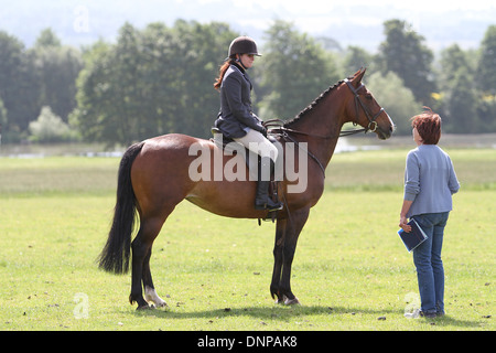 Einem stehenden Pferd und Reiter im Gespräch mit einer Frau auf einer lokalen Messe Stockfoto