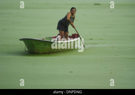 Eine Frau fährt auf einem Boot über das Wasser bedeckt mit Lemma Pflanzen in Kongo Mirador Dorf, See Maracaibo, Venezuela Stockfoto