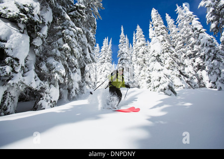 USA, Montana, Felchen, Frau Skifahren Stockfoto