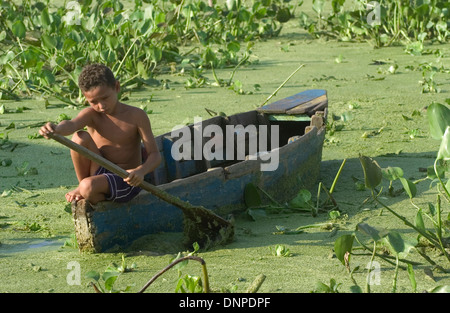 Bildnis eines Knaben in Kongo Mirador Dorf Pflanzen wie sie eine Boot im Wasser bedeckt mit Lemma Reihen, Maracaibo-See, Venezuela Stockfoto