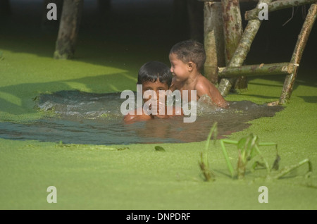 Zwei Jungen schwimmen im Wasser bedeckt mit Lemma Pflanzen, an der Mündung des Catatumbo Fluss, Maracaibo´s See, Bundesstaat Zulia, Venezuela Stockfoto