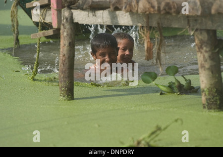 Zwei Jungen schwimmen im Wasser bedeckt mit Lemma Pflanzen, an der Mündung des Catatumbo Fluss, Maracaibo´s See, Bundesstaat Zulia, Venezuela Stockfoto