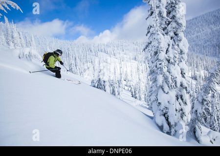 USA, Montana, Felchen, Frau Skifahren Stockfoto