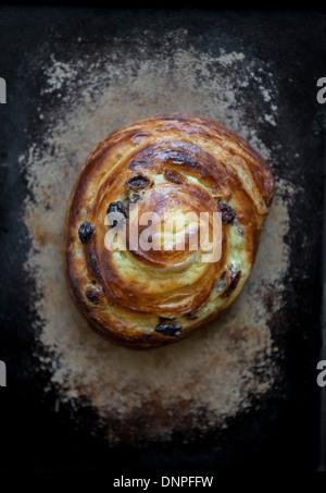 Pain Aux Rosinen Frühstück Gebäck. Ein Frühstück essen oft in Frankreich, die direkt mit Rosinenbrot übersetzt wird. Stockfoto