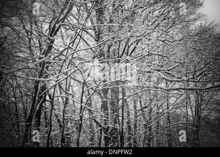 Bloomington, Indiana, USA. 1. Januar 2014. Entlang ind. 37 nördlich von Bloomington. Eisige Temperaturen und Schnee Decke Indiana mit Subzero Temperaturen und mehr Schnee über das Wochenende erwartet. Bildnachweis: Jeremy Hogan/Alamy Live-Nachrichten Stockfoto