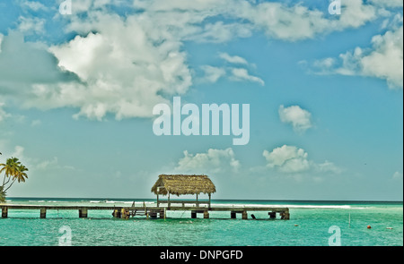 Pigeon Point Tobago Stockfoto